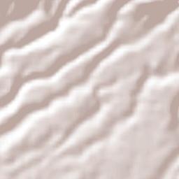 Alajuela Terrain Map