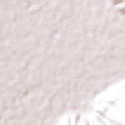 Agustín Codazzi Terrain Map