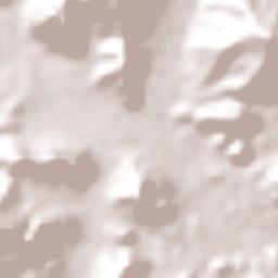 Villa de Cura Terrain Map