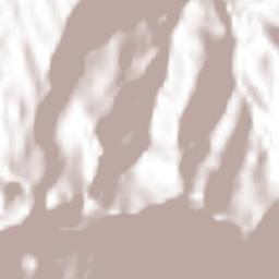 Oreamuno Terrain Map