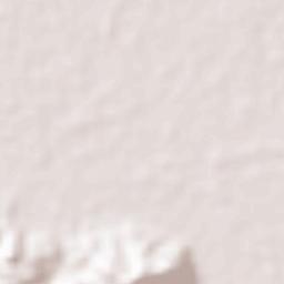 Vista Alegre Terrain Map