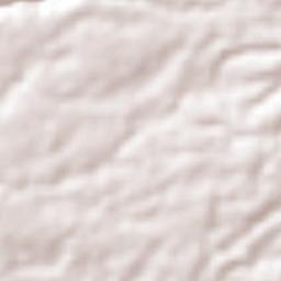 Goicoechea Terrain Map