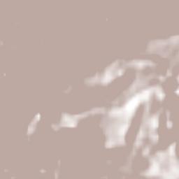 Alvarado Terrain Map