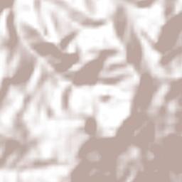 Santiago Terrain Map