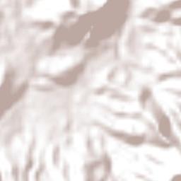 San Miguel Terrain Map