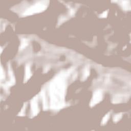 Tucurrique Terrain Map