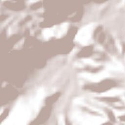 Pejibaye Terrain Map