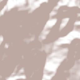 León Cortés Terrain Map