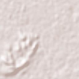 Becerril Terrain Map