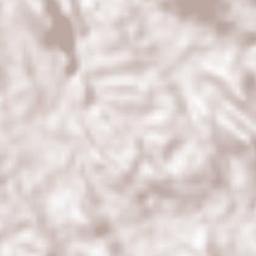 Erattupetta Terrain Map