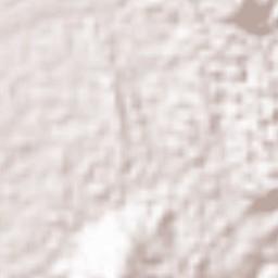 Sikatuna Terrain Map