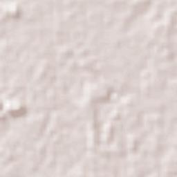 San Carlos Terrain Map