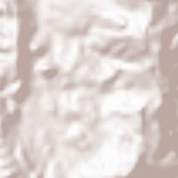 Mayapusi Terrain Map