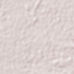 Acarigua Terrain Map