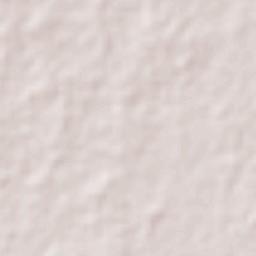 Santa Ana Terrain Map