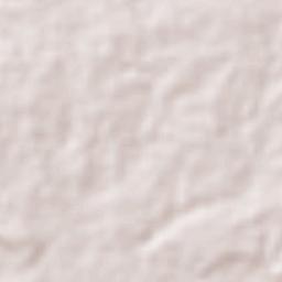 Aragua de Barcelona Terrain Map