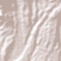 San Isidro Terrain Map