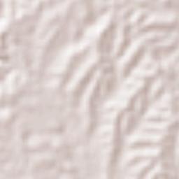 Los Palmitos Terrain Map