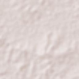 Buenavista Terrain Map