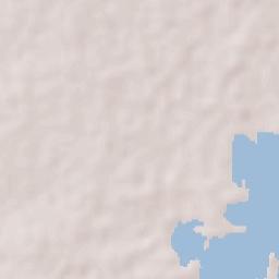 Pijiño del Carmen Terrain Map