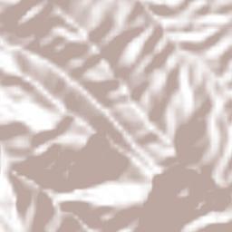 Distrito de Changuinola Terrain Map