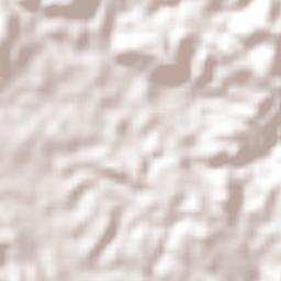 Caimitillo Terrain Map