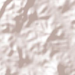 Alcalde Díaz Terrain Map