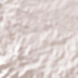 Buenavista Terrain Map