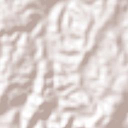 Arosemena Terrain Map