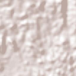 Distrito Arraiján Terrain Map