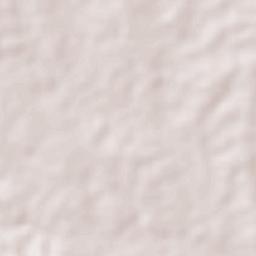 Sahagún Terrain Map