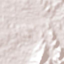 Pailitas Terrain Map