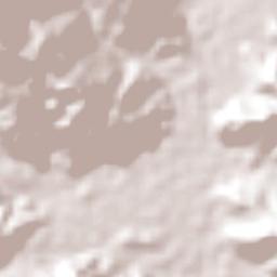 Punta Peña Terrain Map