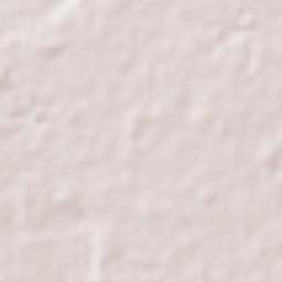 Calabozo Terrain Map