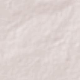 El Tigre Terrain Map