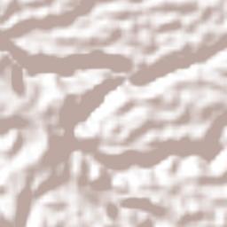 Coto Brus Terrain Map