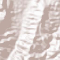 Amphoe Phanom Terrain Map