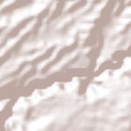 Monte Lirio Terrain Map