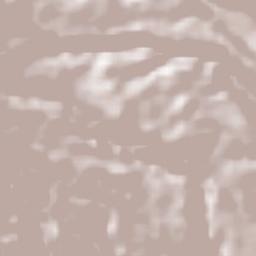 Los Naranjos Terrain Map