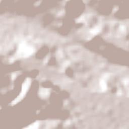 Barinitas Terrain Map