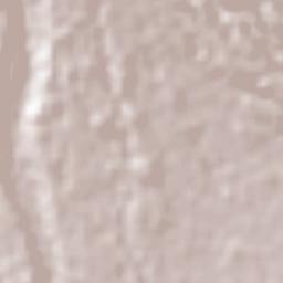 Potrerillos Arriba Terrain Map