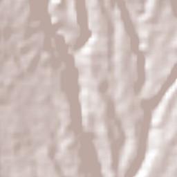 Paraíso Terrain Map