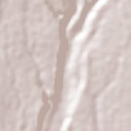 Guayabal Terrain Map