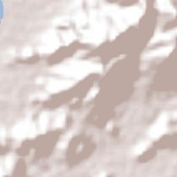 Tiquisio Terrain Map