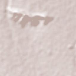 Boquerón Terrain Map