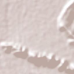 San Carlos Terrain Map