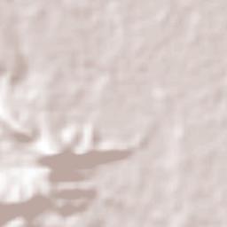 Cochea Abajo Terrain Map