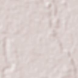 Bijagual Terrain Map