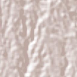 Distrito de San Carlos Terrain Map