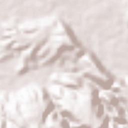 Santa Ana Terrain Map